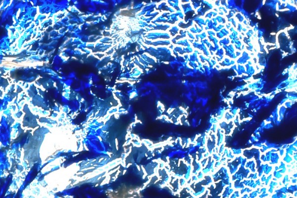 ice-jungle-detail4A2B674D-EA92-D6DC-4DE0-635EAB8BC00D.jpg