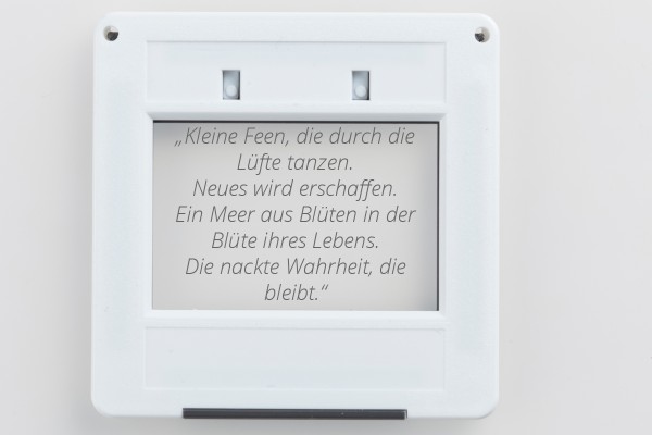 intro-pflanzen-serie4BC19033-CDC6-0E1B-6A26-DD1532BBA853.jpg