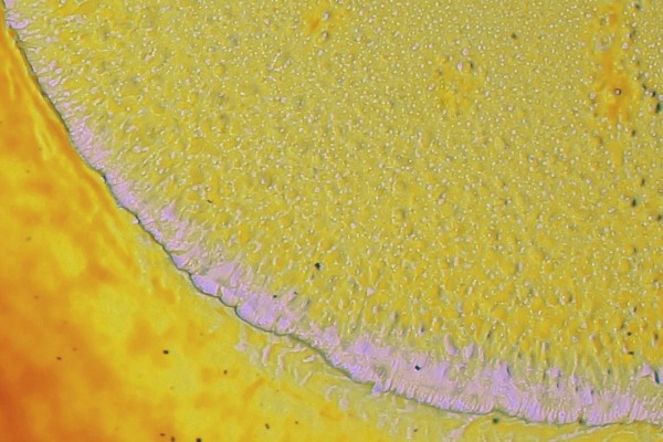 sun-plasma-detailA5F07771-B8FC-5BDF-DFA7-45BA84146A53.jpg