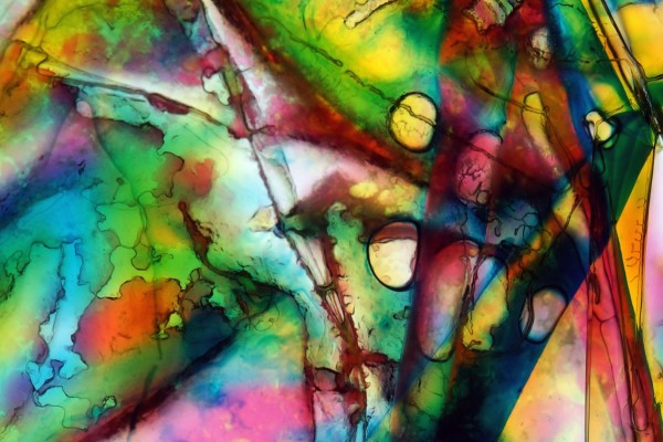 skull-of-an-oryx-detail1E53C908-C272-DA5A-CB6D-E6E694ACF370.jpg